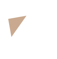Z-artist-Triangle-brun.png